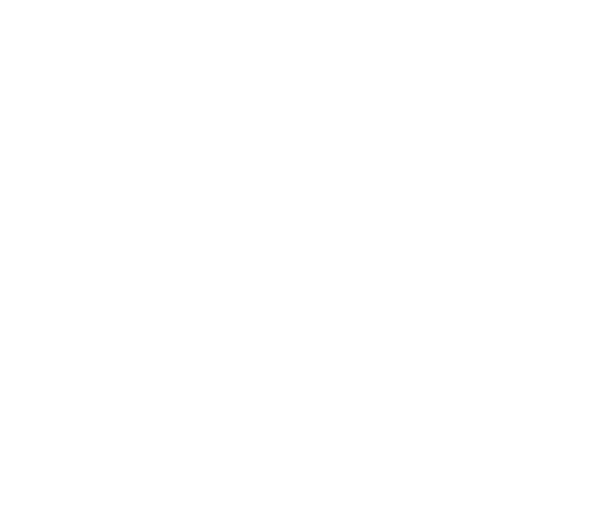 Center for Vulnerable Voters